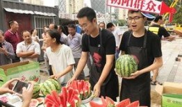 51朝阳吃瓜群众