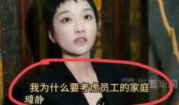 社会热点插画 明星黑料网站视频免费,免费视频背后的真相与争议