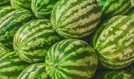 吃瓜爆料短剧吃瓜爆料大赛每日聚集地 吃瓜是什么意思,网络热词背后的趣味与现象