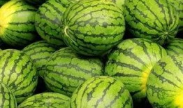 朝阳吃瓜51cg 吃瓜爆料大赛每日聚集地,揭秘吃瓜爆料大赛每日聚集地